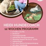 12-Wochen Trainingsprogramm mit Heidi Hundecoach