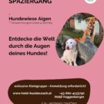 Beobachtungsspaziergang