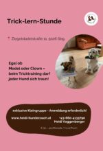 Tricklernstunde ohne Datum