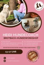 Brotback-Hundeworkshop